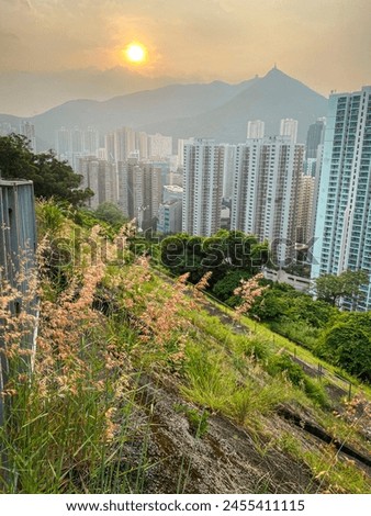 Sunset Over Urban Jungle Amidst Natural Beauty in Hong Kong