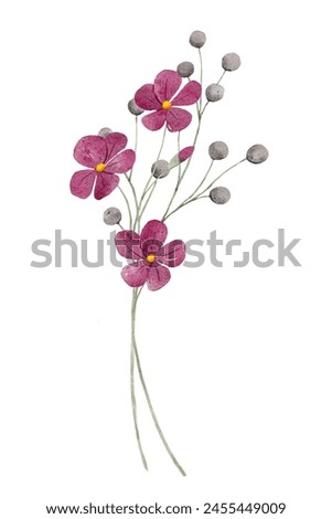 Wild flowers, watercolor floral clip art. Botanical illustration perfectly for printing design on invitations, cards, wall art, poster, sticker. Isolated on white background. Hand painting.