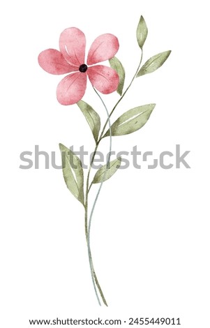 Wild flower, leaves watercolor floral clip art. Botanical illustration perfectly for printing design on invitations, cards, wall art, poster, sticker. Isolated on white background. Hand painting.