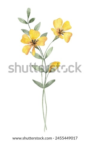 Wild flowers, leaves watercolor floral clip art. Botanical illustration perfectly for printing design on invitations, cards, wall art, poster, sticker. Isolated on white background. Hand painting.