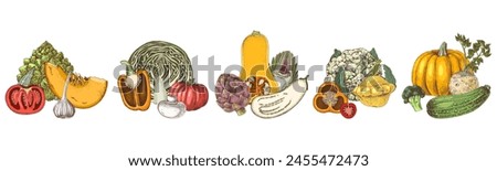 Fresh vegetables groups vector illustration