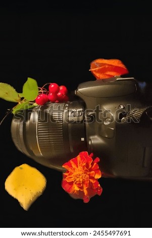 Camera on a black background. Autumn background. A vibrant flat layout that captures the essence of autumn with beautifully scattered colorful leaves.
