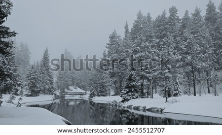 Winter forest scene from Norway. Still water surrounded by snow covered pines. Picture taken close to Tunhovd in Southern Norway, late April 2024.