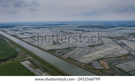 aerial photography wetland rice field aerial photography