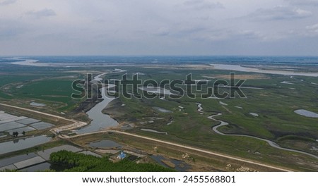aerial photography wetland rice field aerial photography