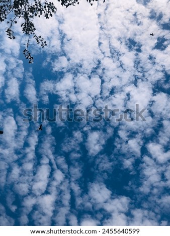 "Soft billowy clouds painted against a vibrant sky, a tranquil scene invoking serenity and wonder." Royalty-Free Stock Photo #2455640599