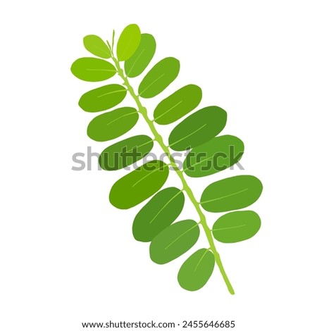 Small Green Leaf Vector. Digital Art of Leaves for Sticker, Clip art