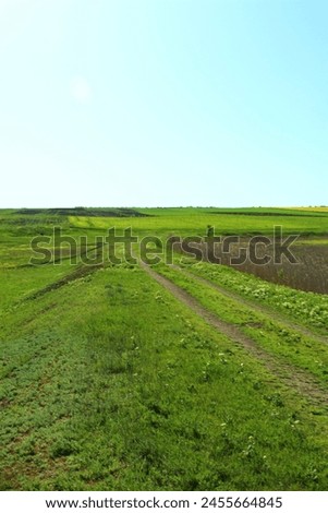 A dirt road in a green field
