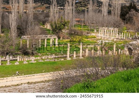 Vibrant spring view of the Greco-Roman columns in Aydın, with poppies and green grass. Royalty-Free Stock Photo #2455671915