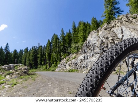 tread on a mountain bike wheel against a dirt road background