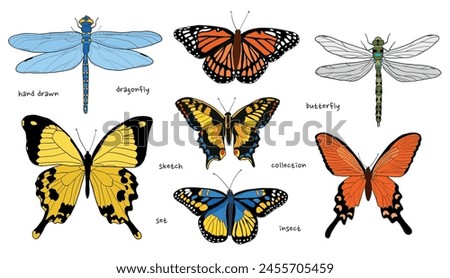 Butterflies and dragonflies hand drawn collection for stickers, prints, cards, posters, clip art, decor, wallpaper, etc. EPS 10