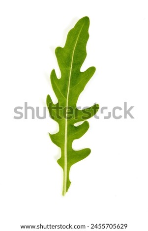 Fresh vegetarian arugula salad, isolated on wite background. High resolution image.