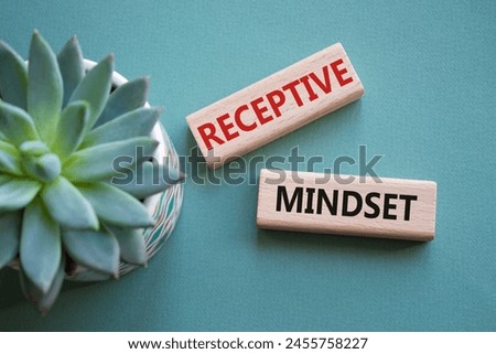 Receptive Mindset symbol. Concept word Receptive Mindset on wooden blocks. Beautiful grey green background with succulent plant. Business and Receptive Mindset concept. Copy space