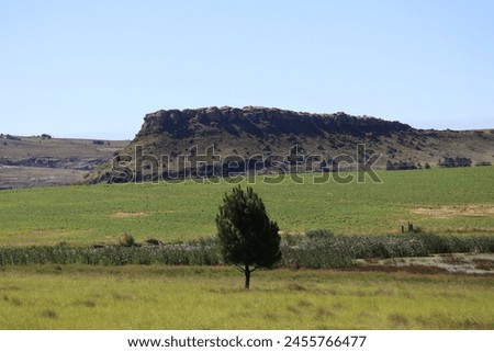 South African Landmark: Road Trip to Clarens, Cliffs of South Africa, Mountains, Landscape Stock Photo