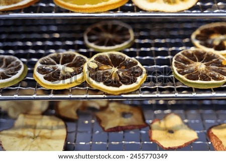 The Food Dehydrator Machine - a device for drying vegetables and fruits without losing vitamins and trace elements Royalty-Free Stock Photo #2455770349
