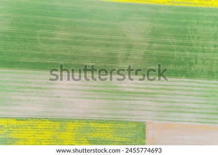 drone aerial view of agricultural fields cultivated with rapeseed and wheat in the springtime