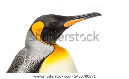 emperor penguin - Aptenodytes forsteri - is the tallest and heaviest of all living penguin species and endemic to Antarctica. Closeup side profile view of face and head, isolated on white background