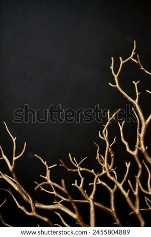 A studio photo of a decorative tree branch