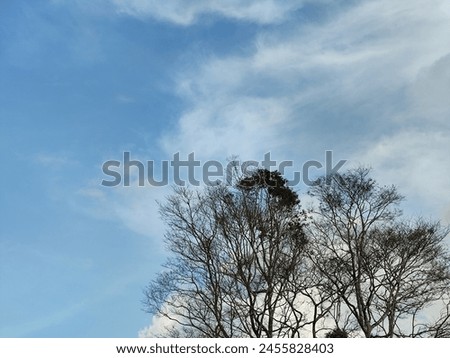 picture of blue sky ini the morning with some tree