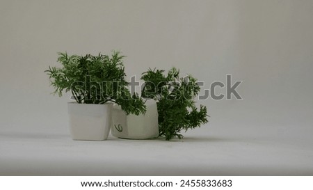 Close up picture of plastic pot and plastic flower . Photography of plastic pot . Stock photography.