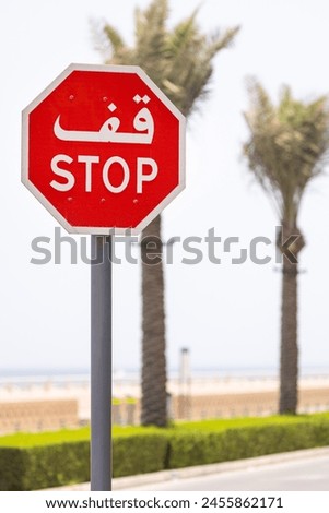 Close up of a stop street sign written both in arabic and in roman characters, against an out of focus background with palm trees