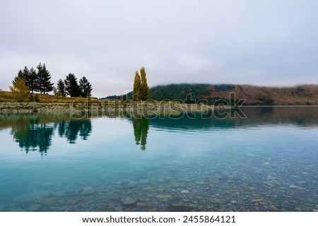 Lake Tekapo, cloudy, tree reflection, autumn