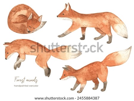Forest animals red foxes for baby cards and baby showers Watercolor set