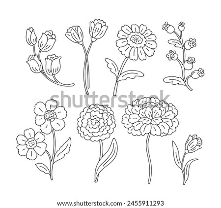 Simple cute flowers in doodle style. Vector hand drawn black and white drawing for coloring. Botanical hand drawn sketch. Elegance flower clip art.