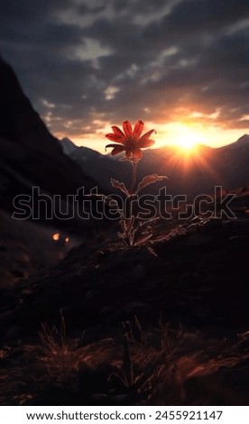 Sunset (or sundown) is the disappearance of the Sun below the horizon of the Earth (or any other astronomical object in the Solar System) due to its rotation. As viewed from everywhere on Earth, it is Royalty-Free Stock Photo #2455921147