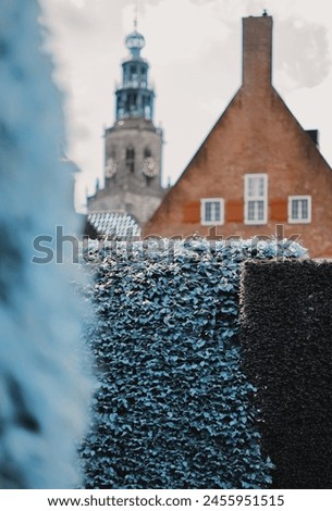 A razor sharp hornbeam hedge dividing the blurred fore and background where the Martini tower and the Prinsenhof can be seen from the garden of the Prinsentuin Royalty-Free Stock Photo #2455951515