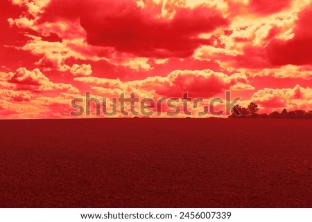 A large field, on the horizon of trees and beautiful red sky with clouds, rural landscape, countryside, outdoor, red photo