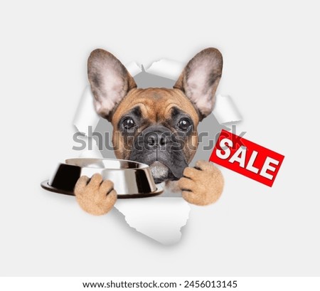 French bulldog puppy looking through the hole in yellow paper, holding empty bowl and showing signboard with labeled "sale"