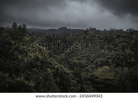 photo of dense forest slopes and black clouds. Edited with dark and contrasting colors so it gives a cinematic impression