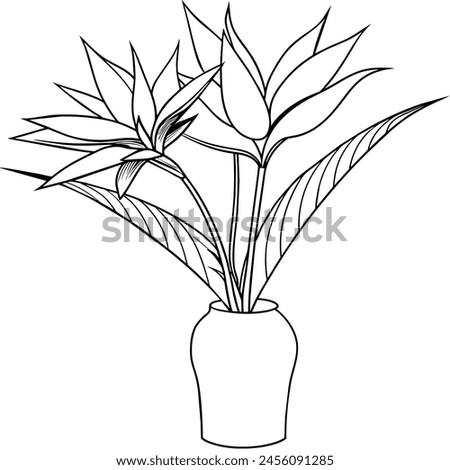 Bird of Paradise flower on the vase outline illustration coloring book page design, Bird of Paradise flower on the vase black and white line art drawing coloring book pages for children and adults