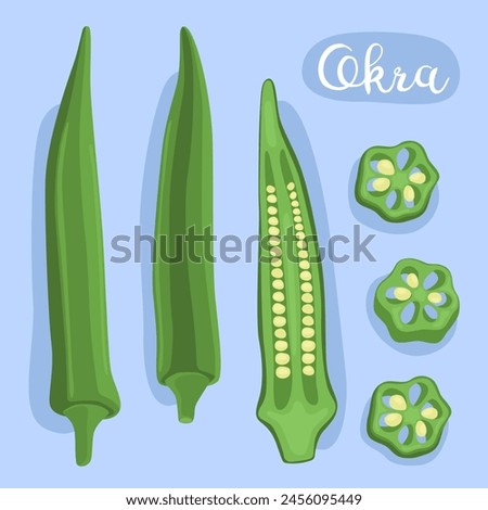 Okra. Bamia. Abelmoschus esculentus, lady's fingers.  Vegetable, cooking ingredient. Illustration. Natural dietary edible plant, healthy vegetarian food. Asian vegetable. 
 Royalty-Free Stock Photo #2456095449