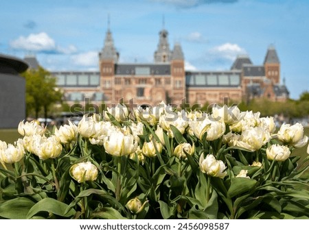 Flowers in front of The Rijksmuseum, the national museum of The Netherlands in Amsterdam. Selective focus