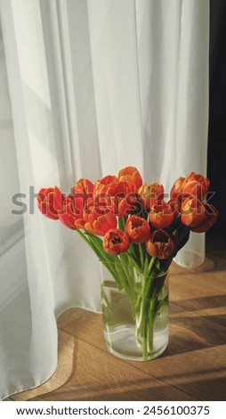 
Tulips are one of the most spring flowers