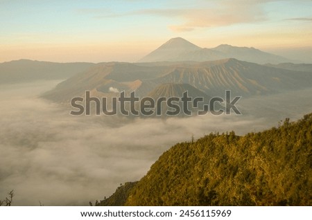 TROPICAL SUMMER IN BROMO WITH AMAZING MOUNTAIN
