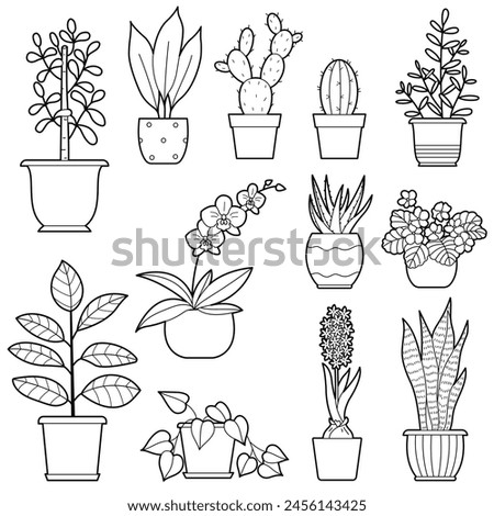 Set of Houseplants.  Indoor flowers in pots. Outline illustration, design elements or page of children's coloring book Royalty-Free Stock Photo #2456143425