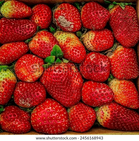 Capture the essence of freshness with ripe strawberries. Bursting with flavor, they're the perfect ingredient for vibrant visuals and enticing projects. Royalty-Free Stock Photo #2456168943