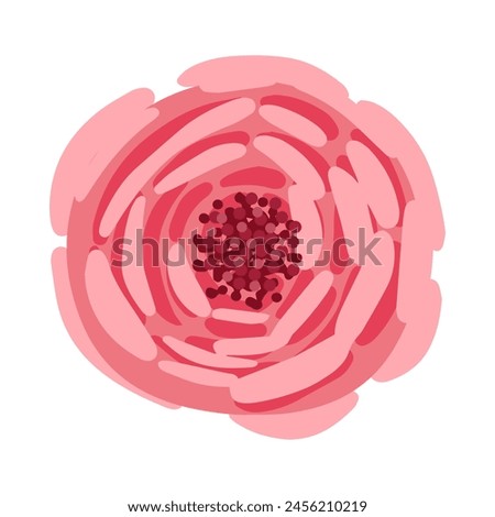 Cute pink rose bud. Botanical vector illustration isolated on white background for postcard, poster, ad, decor, fabric and other uses.