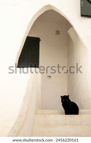 An example of a house from the picturesque and charming village of Binibeca with a black cat sitting on the staircase. Like the rest of the town, the house is whitewashed and has wooden doors and wind