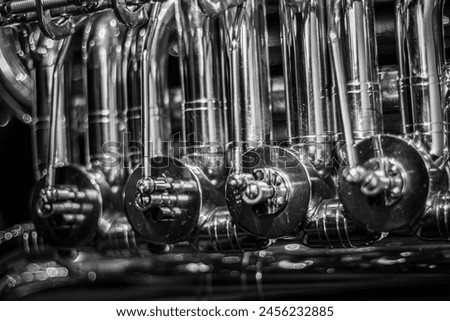 Tuba Noir: A row of rotors and linkages on a tuba. Royalty-Free Stock Photo #2456232885