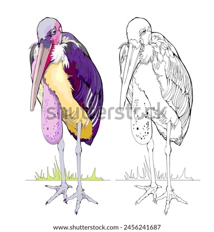 Colorful and black and white page for coloring book. Illustration of a cute African marabou stork. Printable worksheet for children. Flat clip-art drawing. Vector cartoon image. Animals for kids.
