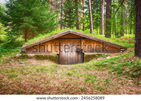 Dwarfs' house, wood, forest protected by law, interior park, eco system, plants, Asia, Romania, green, flowers, relaxation, vacation, green, nature