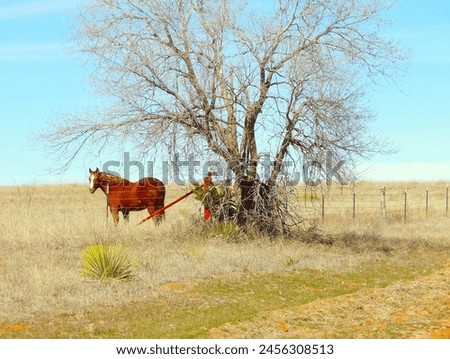 a picture of a horse in field