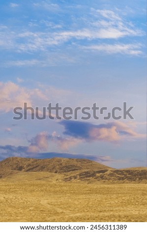 Steppe, prairie, plain, pampa. Basking in the warm embrace of nature's golden hour. Sunset Magic, Prairie Vibes