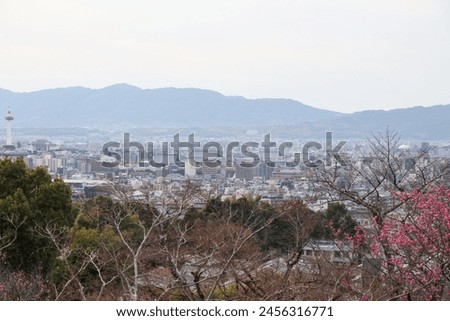 Sakura blossoms and panoramic views of the city of Kyoto Japan, March 2024