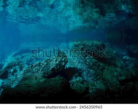 Underwater Background. Point of View from Underwater Shallow Water Diving. Indo Pacific Ocean. Southeast Asia.     