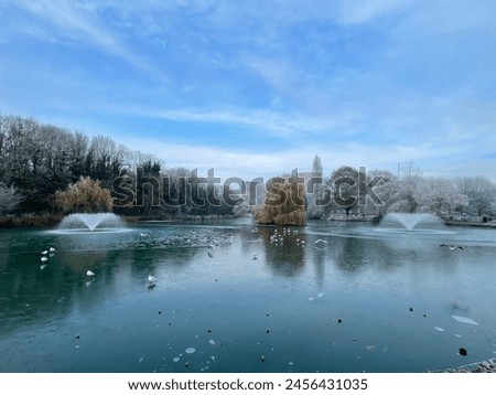 Winter season icy lakes' background environments are full of tree with full of ice. two fountains in icy lakes